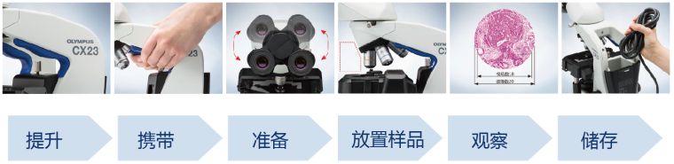 奥林巴斯生物显微镜CX23示例图2