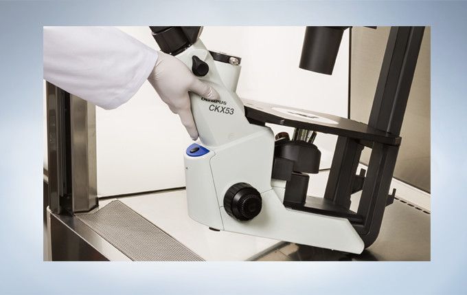 奥林巴斯倒置显微镜CKX53示例图8
